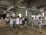 麻将胡了