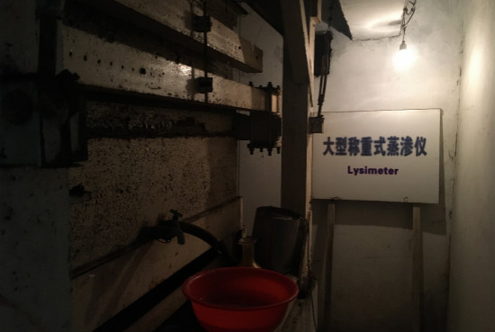 麻将胡了
